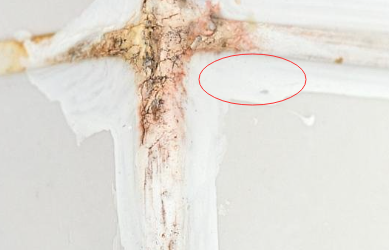 密封膠在生產時可以使用熒光增白劑增白嗎？